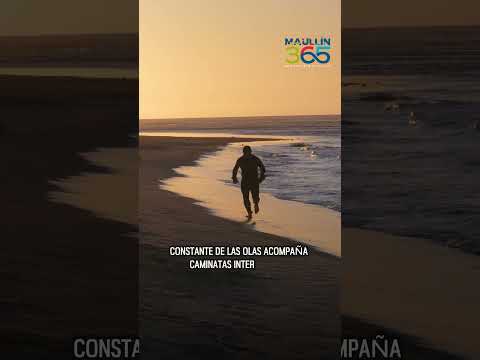 🌅 Kilómetros de Arena, Océano y Tranquilidad | Playa Pangal, Maullín