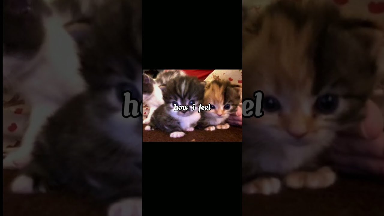 d.ear & JAEHYUN-Try Again