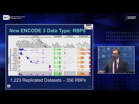 Report: ENCODE Project Update - Brenton Gravely