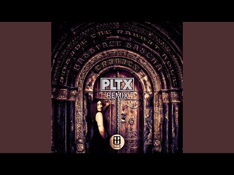 Inside the Rabbit Hole (PLTX Remix)