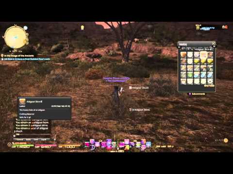 FINAL FANTASY XIV: How To Farm Aldgoat Skin, Horns and Chunks!