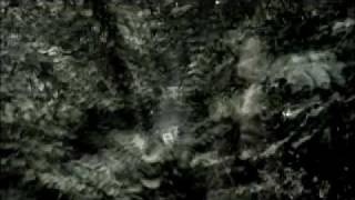Agalloch - Not Unlike The Waves (Official Video)