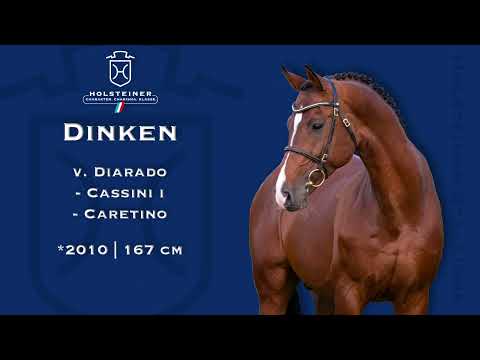 Holsteiner Verbandshengste 2023 | Dinken