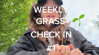 grass check-in #1 | life update, upcoming live shows and a rap project 