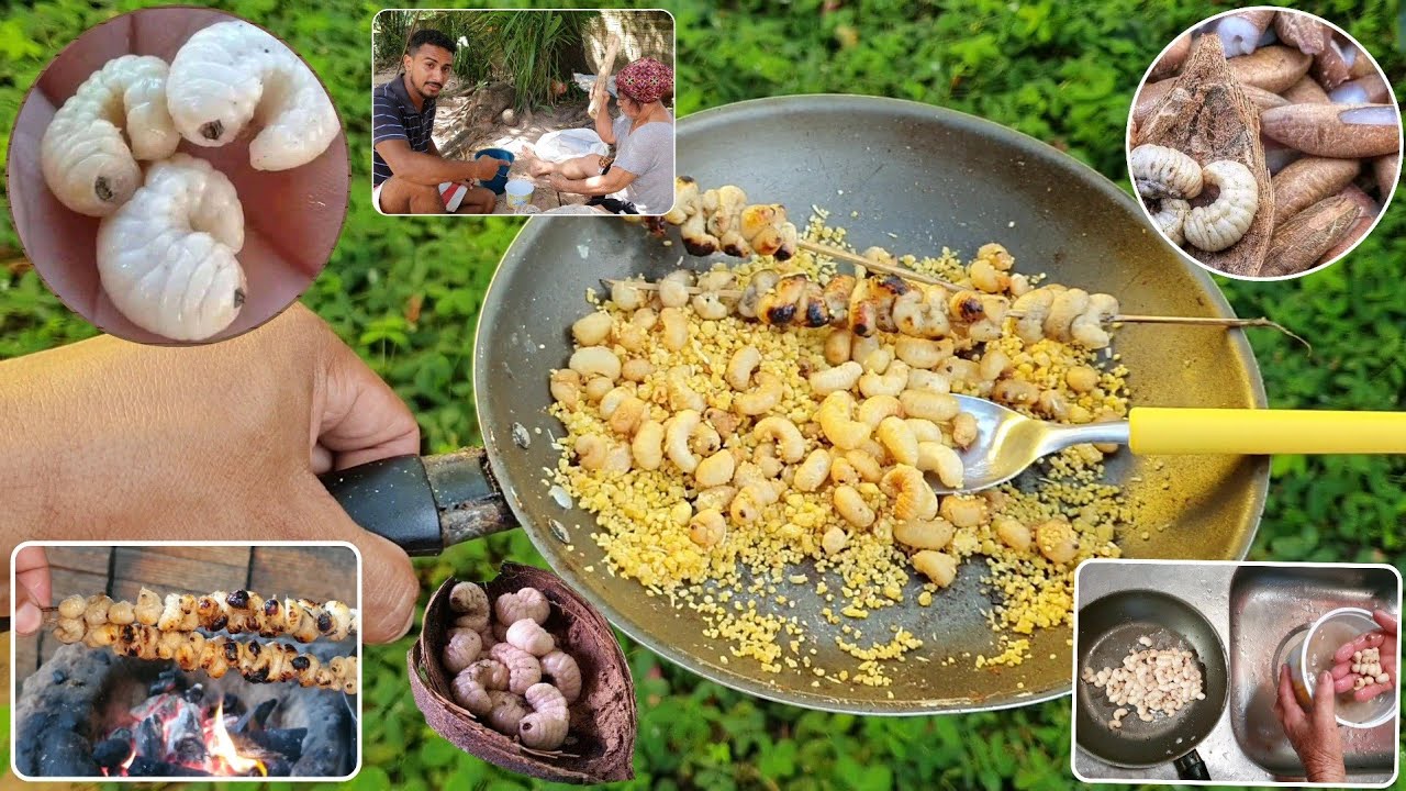 Gongo de coco babaçu,uma iguaria do Maranhão(passo a passo desde a retirada até o preparo)