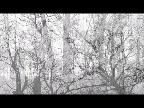 Cosmic Fire Ritual (Official Video)