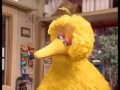 Sesame Street Telly Joins The Letter Of The Month Club