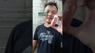 Download lagu polar red pakan premium mp3 Download lagu polar red pakan premium mp3