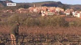 Competing for nuclear waste | Video of the day