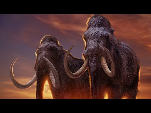ARK Survival Evolved: Mammoth Gameplay