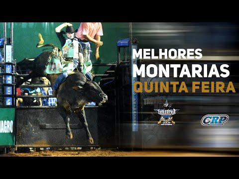 Ibirarema Rodeio Fest 2019 - QUINTA FEIRA / MELHORES MONTARIAS