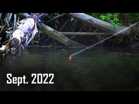 Epic Salmon Run Action! Float Fishing the Honey Hole