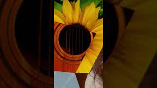 Breaking of the Shells #acousticguitar