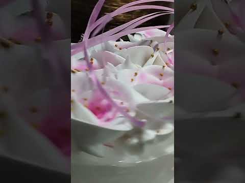 double dekar cake#cake #cakezahur