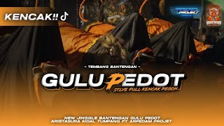 Download lagu GULU PEDOT VIRAL TIKTOK FULL KENCAK || jinggle aristasura feat arpedam project mp3 Download lagu GULU PEDOT VIRAL TIKTOK FULL KENCAK || jinggle aristasura feat arpedam project mp3