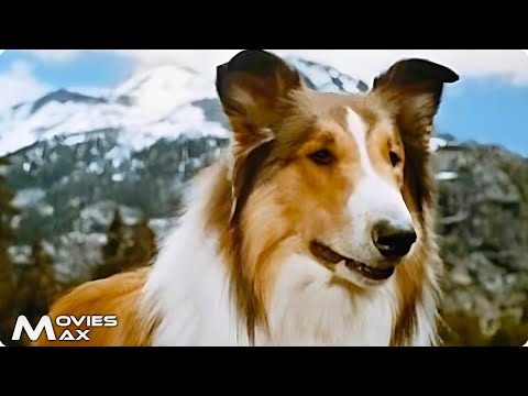 Lassie in the Painted Hills - Heart, Courage, and Friendship. Family Movie Originally Restored
