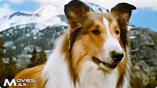 Lassie in the Painted Hills - Heart, Courage, and Friendship. Family Movie Originally Restored