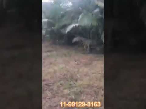 CHÁCARA ESCRITURADA PARCELADA VENDE EM JUQUIÁ