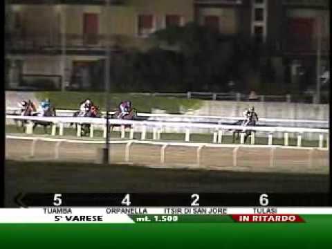 20/07/2011, Varese , Premio Quot. La Pr.di Varese