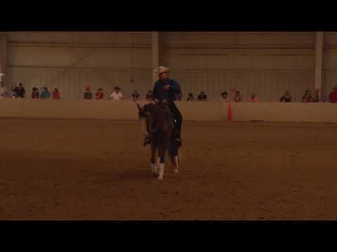 160917 Keith Ceddia on Sun Of Pale Face Open Futurity