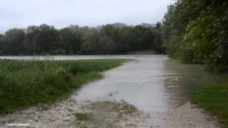 preview picture of video 'Hochwasser in Wilhering/Ottensheim am 3.Juni 2013'