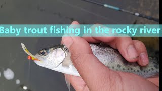BABY TROUT Fishing at Rocky River (ACTUALLY CAUGHT SOME)