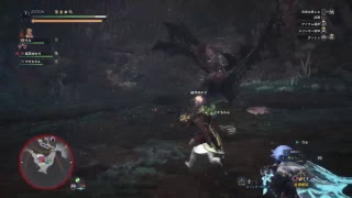 ［PS4版］久々のモンハン　イベントいく