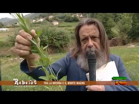 Rebelot: tra la Brenda e il Monte Magno - 24.10.2018