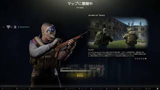 PC直したから半年ぶりタルコフDAy2　カワラボ関連の話もするかも