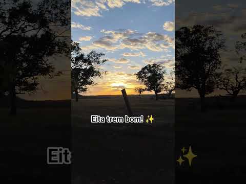 lindo nascer do sol em Pontalina Goiás 💥#cidade #caminhoparaumavidamelhor #goiás #brasil #natureza