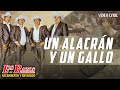 Los Razos - Un alacrán y un gallo (Official Lyric Video)