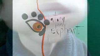 atom size elephant - salvatore