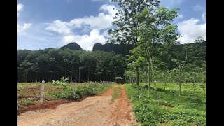 Over 8 Rai of Land for Sale in Khao Thong, Krabi - Close to Water Activities Area
