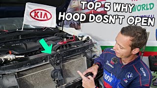 TOP 5 WHY HOOD DOES NOT OPEN ON KIA FORTE SPORTAGE SORENTO SOUL RIO OPTIMA