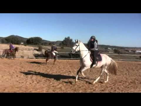 potencia viracocha 2011 2.mpg