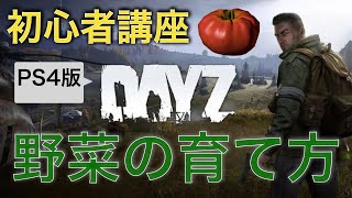 【DayZ攻略】家庭菜園の方法【PS４】女性実況