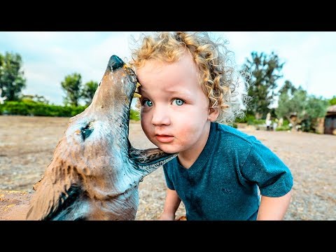 Young child with curly blonde hair and a blue shirt leans in as a sea lion nuzzles its nose against the child's cheek outdoors.