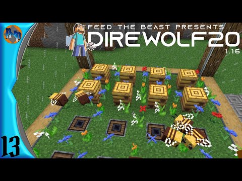 DireWolf20 Episode 13 Bees!