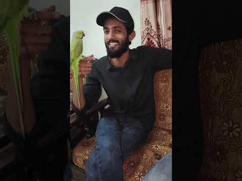 Mian Mithu Part 2 - A Talking Parrot 🦜🐦 Entertainment and Comedy with my Friends