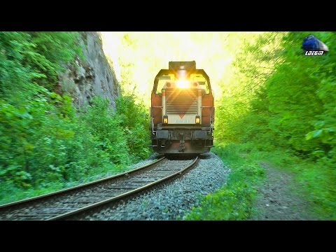 Trenuri de Calatori/Passenger Trains in Muntii Apuseni Mountains [Spring Edition] - 22 April 2016