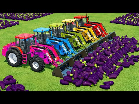 HARVEST, LOAD AND TRANSPORT POTATOES & EGGPLANTS WITH JOHN DEERE TRACTORS - Farming Simulator 22