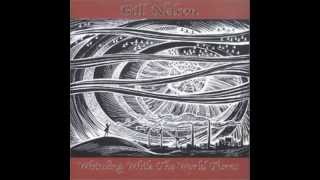 Bill Nelson - The Boy Who Learned Everything