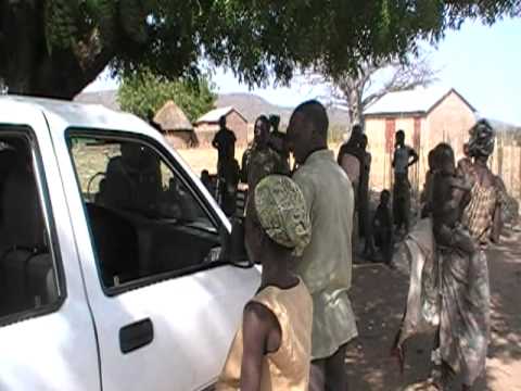 Gathering Baobab Fruit