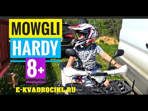 Hardy 8 - надежный квадроцикл с повышенной безопасностью/ квадрик для покатушек/