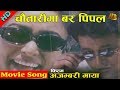 Chautarima Barpipal Ajambari Maya Movie Song Uttam Pradhan AB Pictures Farm B G Dali