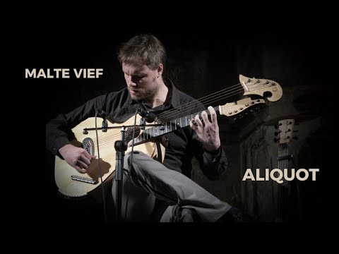 Aliquot by Malte Vief #HarpGuitar