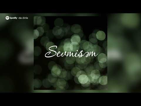 Shamil Mammadov - Sevmişəm