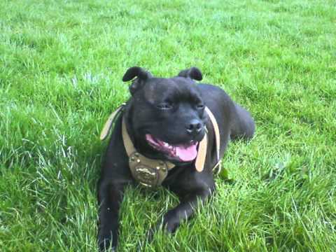 DONK TUNE KONCEPT ;  TIME