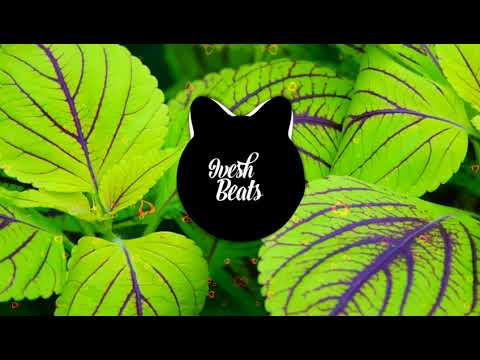 Bhojpuri/Sega Mixtape🔥 2021 -  ( TRILESH Remix )