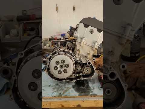 ltz400 engine tear down #repair #diy
